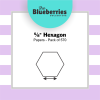 Paper pieces - 5/8" Hexagon Value Pack